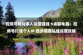 视频号如何多人运营赚钱 9点聊电商：视频号打造个人IP 四步搭建私域运营攻略