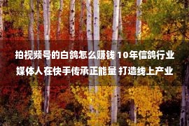 拍视频号的白鸽怎么赚钱 10年信鸽行业媒体人在快手传承正能量 打造线上产业生态链