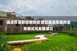 离岸贸易新加坡经验 新型离岸贸易的业务模式与发展建议