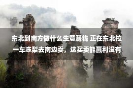 东北到南方做什么生意赚钱 正在东北拉一车冻梨去南边卖，这买卖能赢利没有？网友回覆得太可靠了