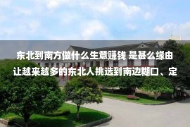 东北到南方做什么生意赚钱 是甚么缘由让越来越多的东北人挑选到南边糊口、定居？