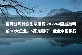 国有公司什么生意赚钱 2022中国最赢利的10大企业，5家是银行！盘盘中国银行业赢利究竟