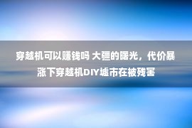 穿越机可以赚钱吗 大疆的曙光，代价暴涨下穿越机DIY墟市在被残害