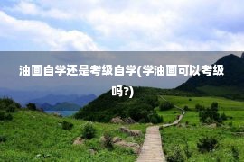 油画自学还是考级自学(学油画可以考级吗?)