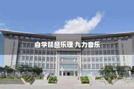 自学琵琶乐理 九力音乐