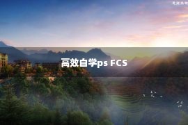 高效自学ps FCS