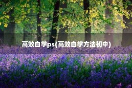 高效自学ps(高效自学方法初中)