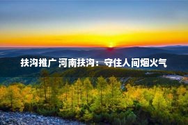 扶沟推广 河南扶沟：守住人间烟火气