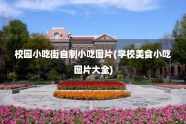 校园小吃街自制小吃图片(学校美食小吃图片大全)