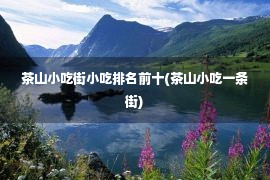 茶山小吃街小吃排名前十(茶山小吃一条街)