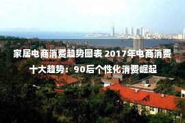 家居电商消费趋势图表 2017年电商消费十大趋势：90后个性化消费崛起