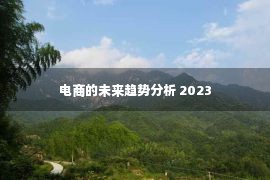 电商的未来趋势分析 2023