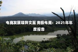 电商发展趋势文案 南极电商：2021年年度报告