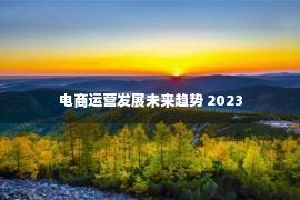 电商运营发展未来趋势 2023