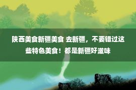 陕西美食新疆美食 去新疆，不要错过这些特色美食！都是新疆好滋味