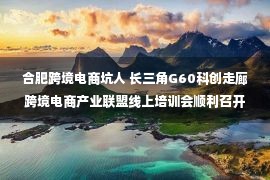 合肥跨境电商坑人 长三角G60科创走廊跨境电商产业联盟线上培训会顺利召开