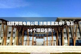 锦鲤跨境电商公司 济南重要发布！章丘54个项目在列！