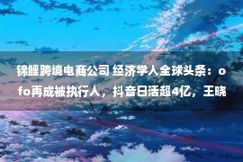 锦鲤跨境电商公司 经济学人全球头条：ofo再成被执行人，抖音日活超4亿，王晓雁加盟小米