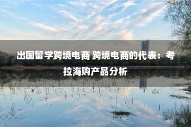 出国留学跨境电商 跨境电商的代表：考拉海购产品分析