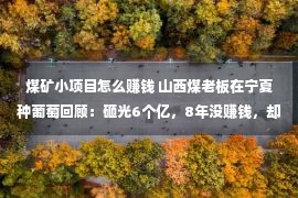 煤矿小项目怎么赚钱 山西煤老板在宁夏种葡萄回顾：砸光6个亿，8年没赚钱，却说赚大了