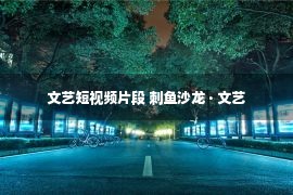 文艺短视频片段 刺鱼沙龙 · 文艺