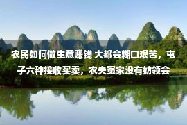 农民如何做生意赚钱 大都会糊口艰苦，屯子六种接收买卖，农夫冤家没有妨领会一下！