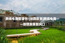 跨境电商俄语书:[丝路故事]跨境电商——新疆发展新风口