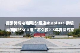 搜索跨境电商网站:超店shoplus：跨境电商网站SEO推广怎么做？5年资深专家这样说