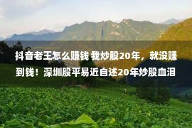 抖音老王怎么赚钱 我炒股20年，就没赚到钱！深圳股平易近自述20年炒股血泪史