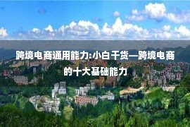 跨境电商通用能力:小白干货—跨境电商的十大基础能力