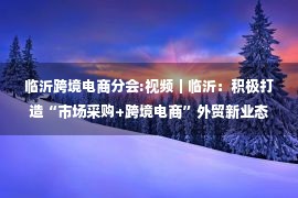 临沂跨境电商分会:视频｜临沂：积极打造“市场采购+跨境电商”外贸新业态