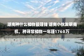 湖南种什么植物最赚钱 湖南小伙发明商机，种寻常植物一年赚1760万