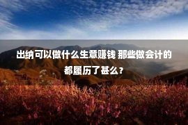 出纳可以做什么生意赚钱 那些做会计的都履历了甚么？