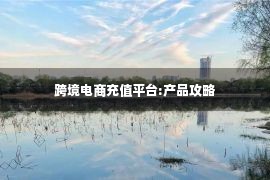 跨境电商充值平台:产品攻略