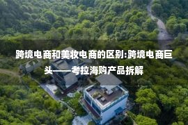 跨境电商和美妆电商的区别:跨境电商巨头——考拉海购产品拆解