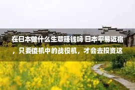 在日本做什么生意赚钱吗 日本平易近宿，只要傻机中的战役机，才会去投资这陷坑圈的圈套