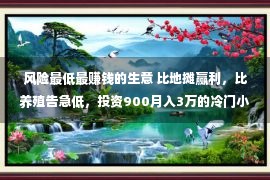 风险最低最赚钱的生意 比地摊赢利，比养殖告急低，投资900月入3万的冷门小买卖