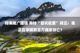 特淘推广赚钱 淘特“首坑收费”疑云：谁正在掌握数百万商家存亡？