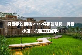 抖音怎么 赚钱 2022年致富明码—抖音小店，机遇正在你手！