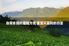 自用省钱的赚钱方式 便宜又赢利的办法