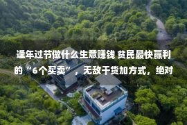 逢年过节做什么生意赚钱 贫民最快赢利的“6个买卖”，无敌干货加方式，绝对没有要错过