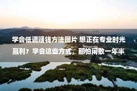 学会低调赚钱方法图片 想正在专业时光赢利？学会这些方式，那怕闲散一年半载都没有用愁！