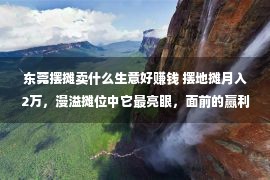 东莞摆摊卖什么生意好赚钱 摆地摊月入2万，漫溢摊位中它最亮眼，面前的赢利头脑更值得沉思