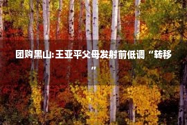 团购黑山:王亚平父母发射前低调“转移”