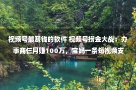 视频号最赚钱的软件 视频号捞金大战：办事商仨月赚100万，宝妈一条短视频支出4万