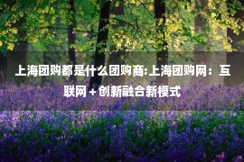 上海团购都是什么团购商:上海团购网：互联网＋创新融合新模式