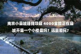 南京小县城赚钱项目 4000全能正在县城开垦一个小楼盘吗？远景若何？