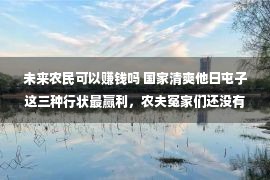 未来农民可以赚钱吗 国家清爽他日屯子这三种行状最赢利，农夫冤家们还没有赶紧步履起来