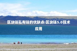 区块链私有链的优缺点:区块链5.0技术应用