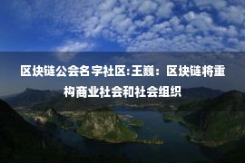 区块链公会名字社区:王巍：区块链将重构商业社会和社会组织